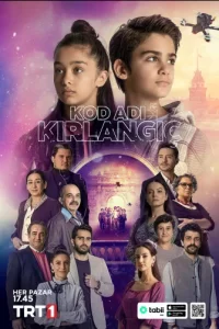 Кодовое имя Ласточка смотреть онлайн Кодовое имя Ласточка турецкий сериал