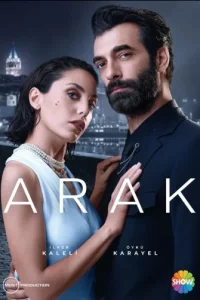 Ограбление турецкий сериал